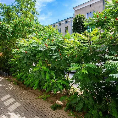 Mokotow Odolanska By Renters Apartment *